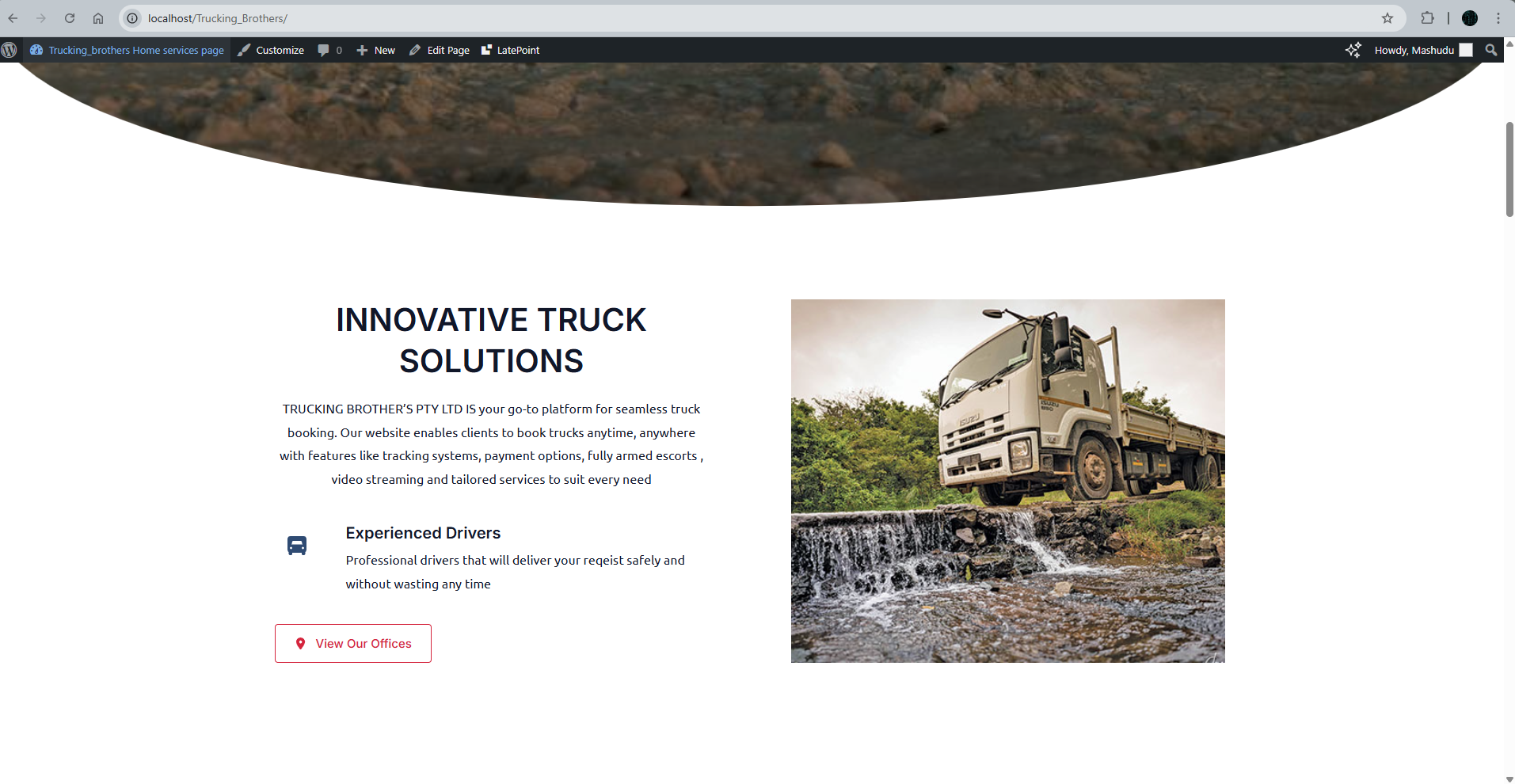 WordPress website design screenshot 2